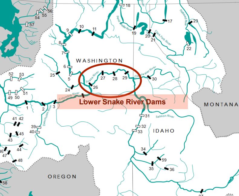 E3 Completes Analysis of the Electricity System Value of Lower Snake