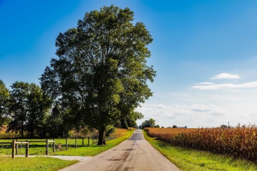 rural indiana street